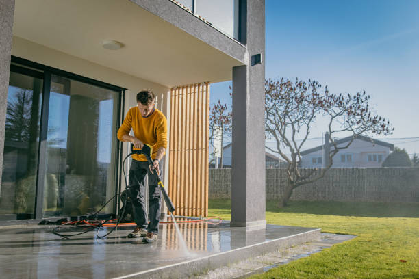 Best Graffiti Removal  in Southfield, MI